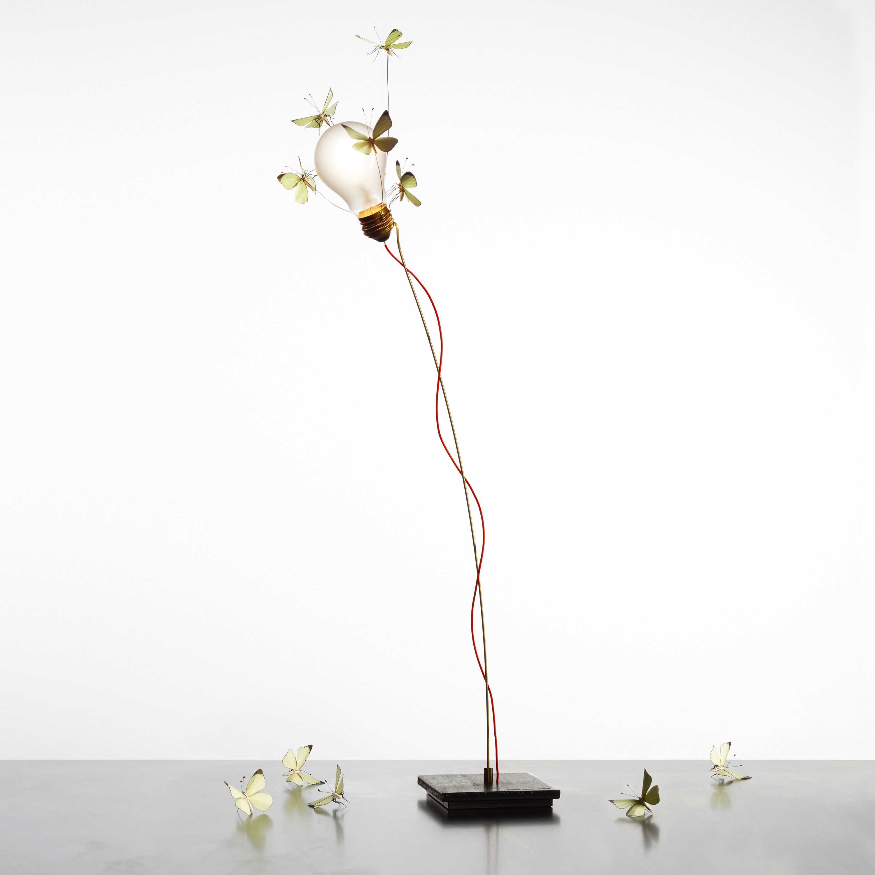 Display product I Ricchi Poveri – Five Butterflies from manufacturer Ingo Maurer
