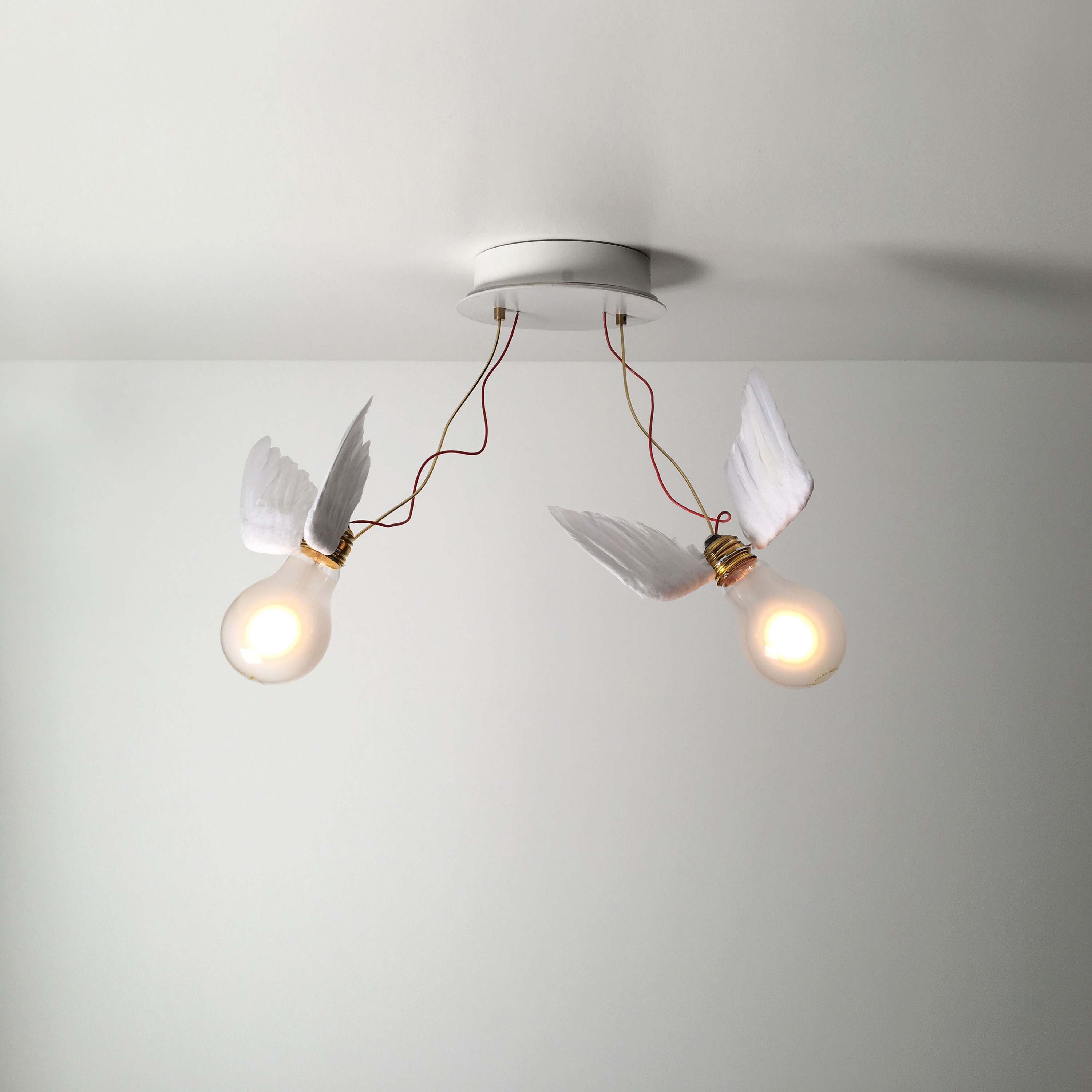 Display product Lucellino Doppio LED from manufacturer Ingo Maurer
