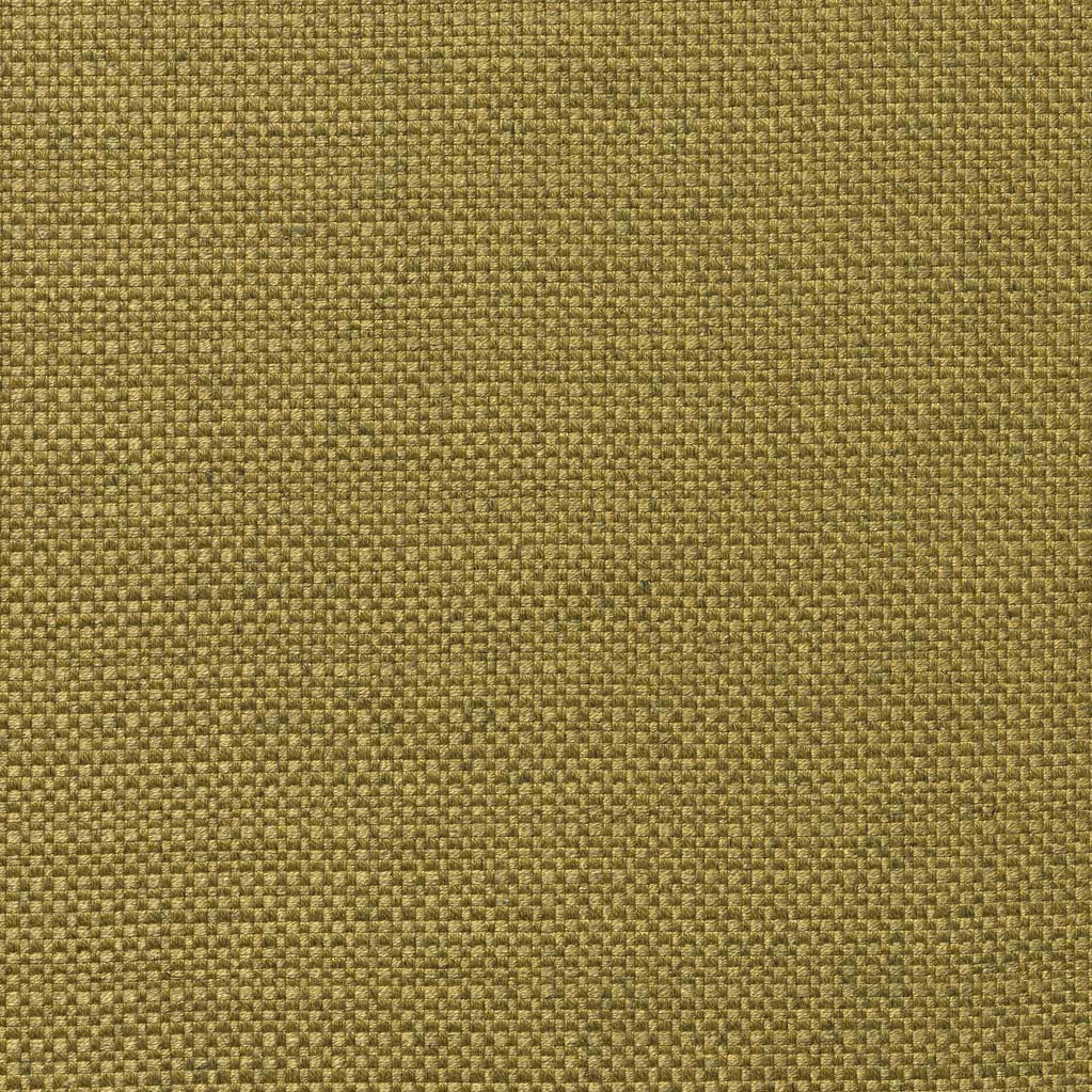 Poona - 11 gold