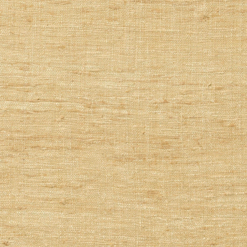 Raja - 46 maize