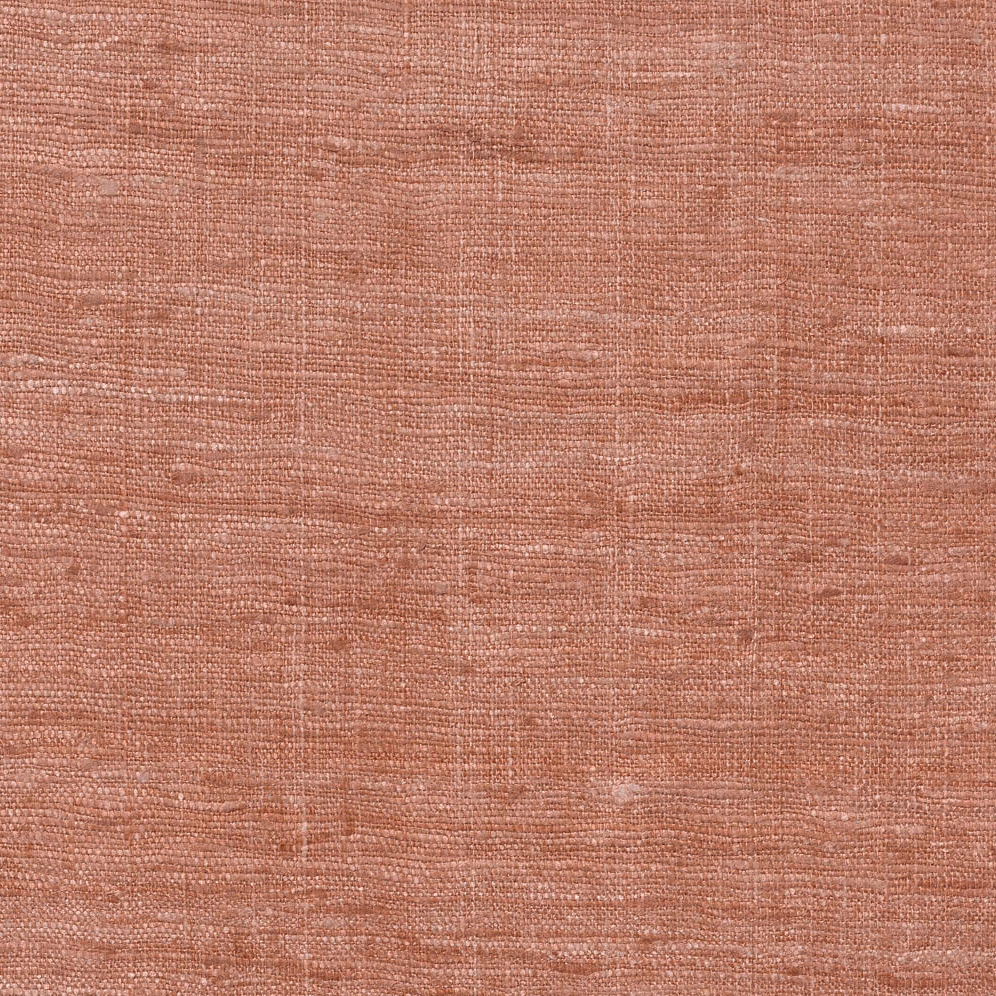 Raja - 50 cinnamon