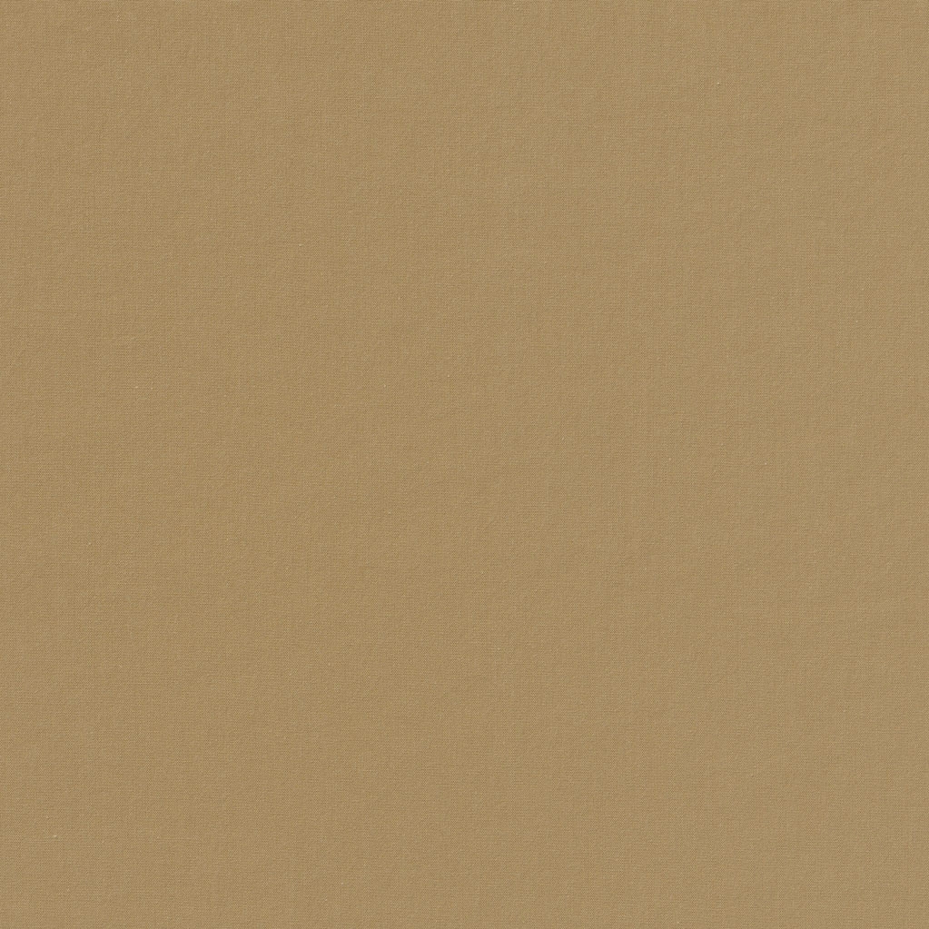 Zeta 2.0 - 422 camel