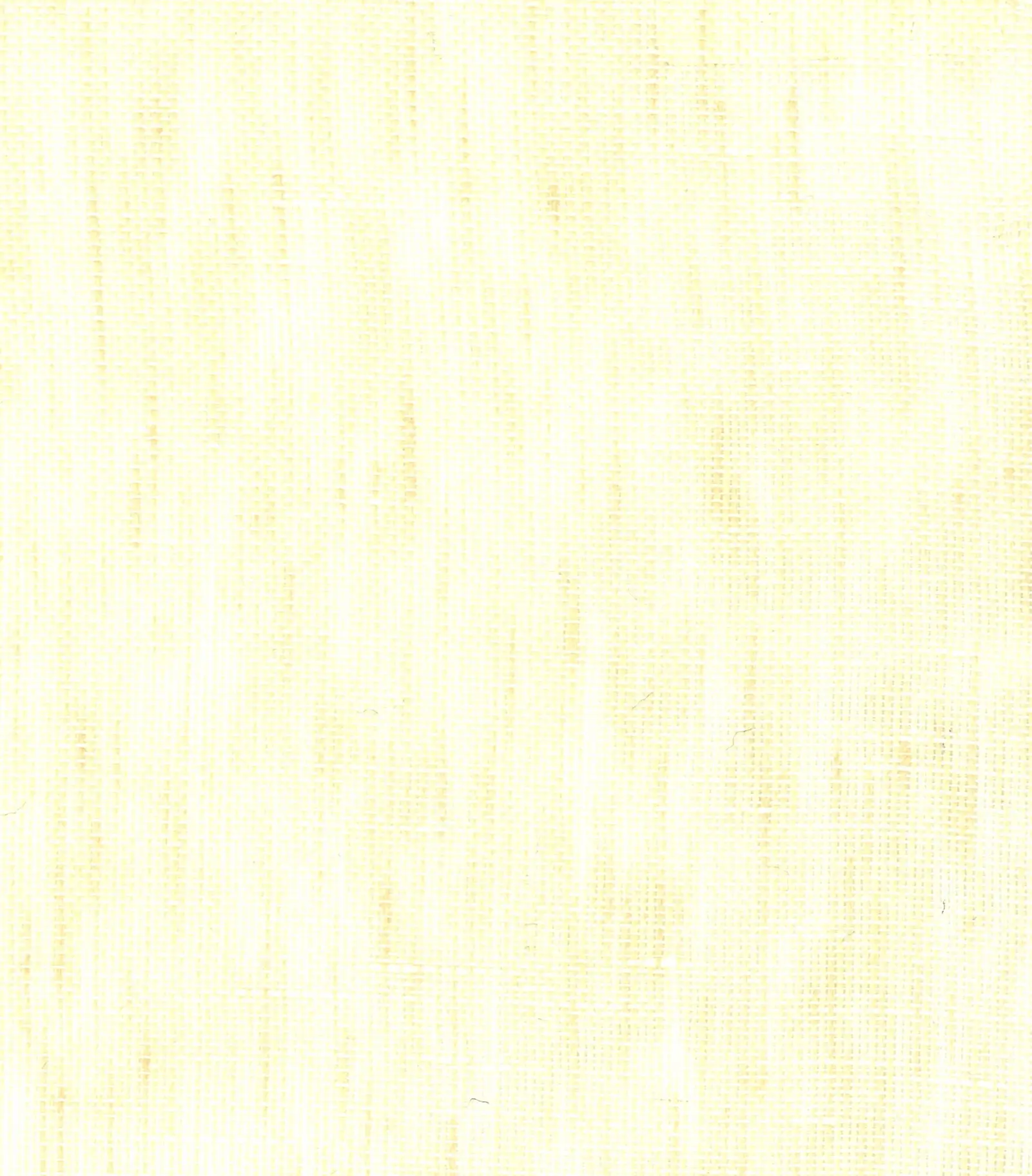 nya nordiska - Alabama - 02 bone