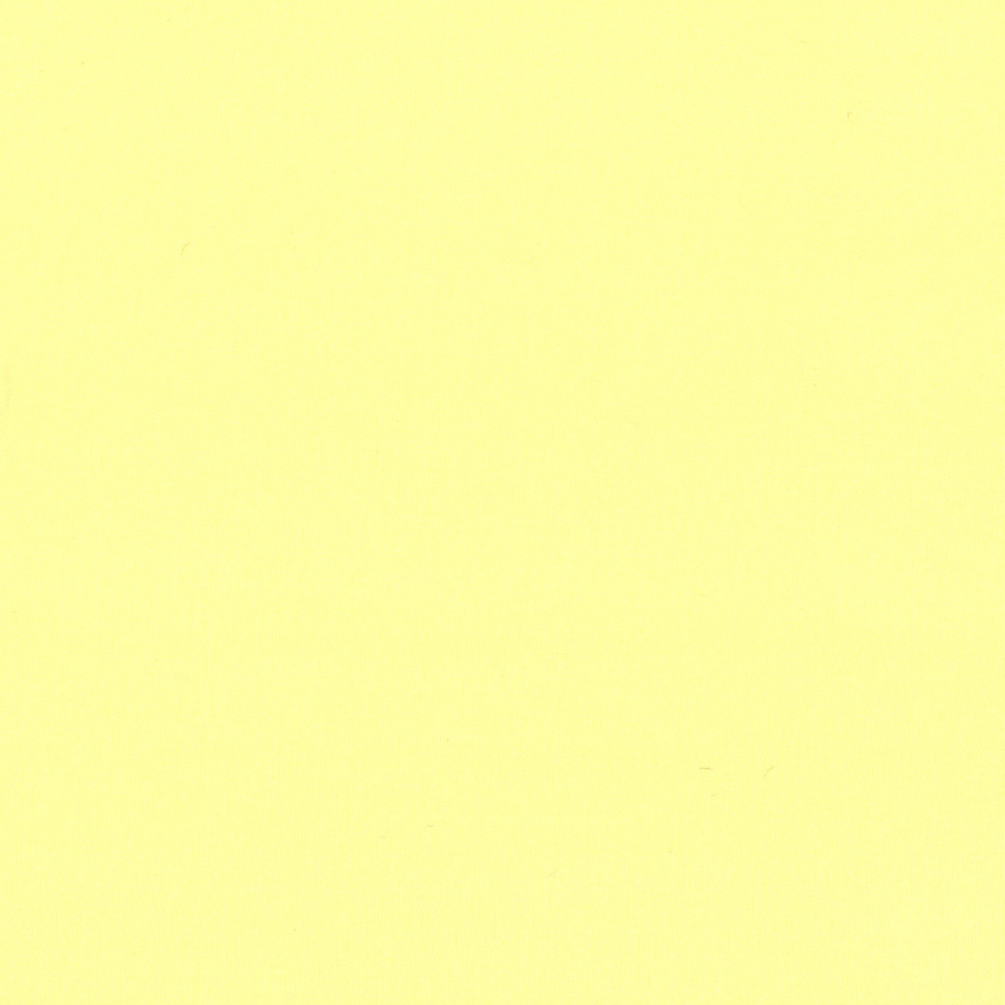 Avanti - 07 maize
