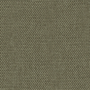 Daydream FR - 09 olive