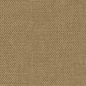 Daydream FR - 11 mustard