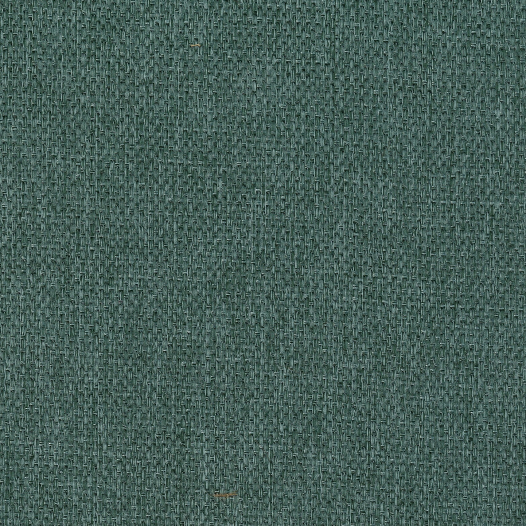 Daydream FR - 14 slate