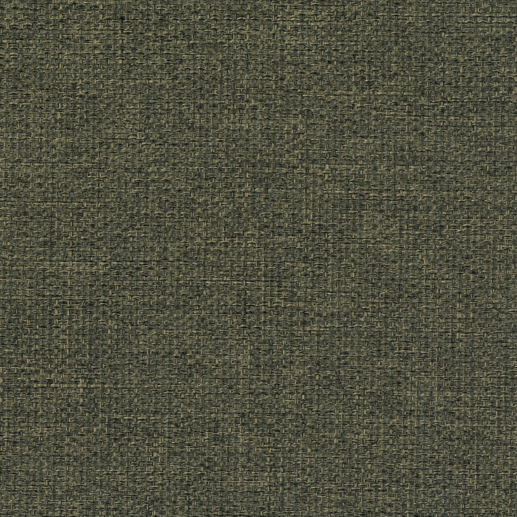 Daydream FR - 20 serpentine