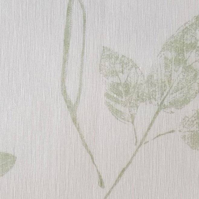 Gambo - 06 olive
