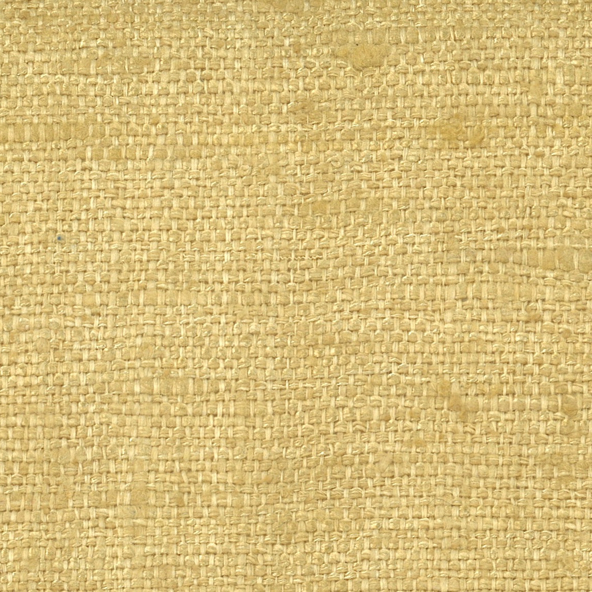 Gomas - 01 ginger