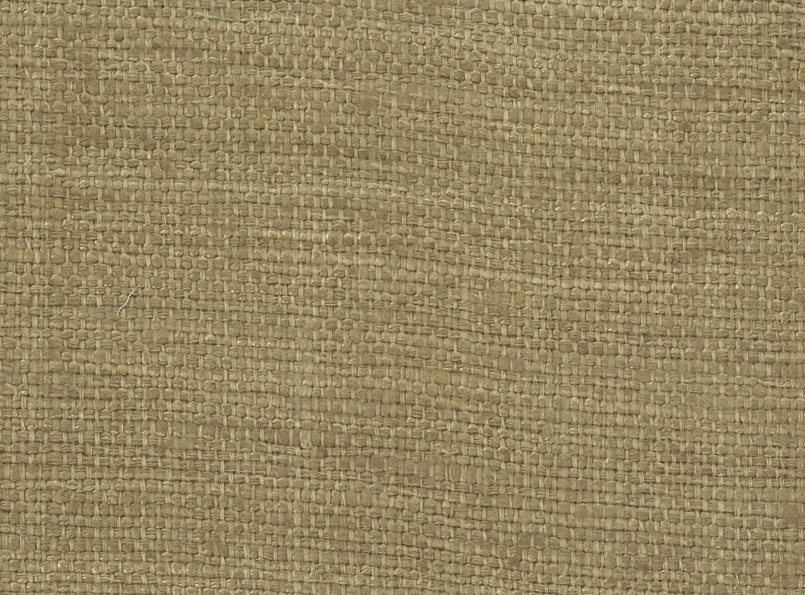 nya nordiska - Gomas - 10 camel