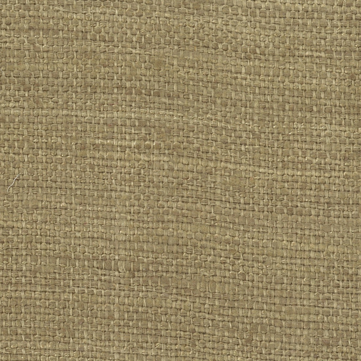 Gomas - 10 camel