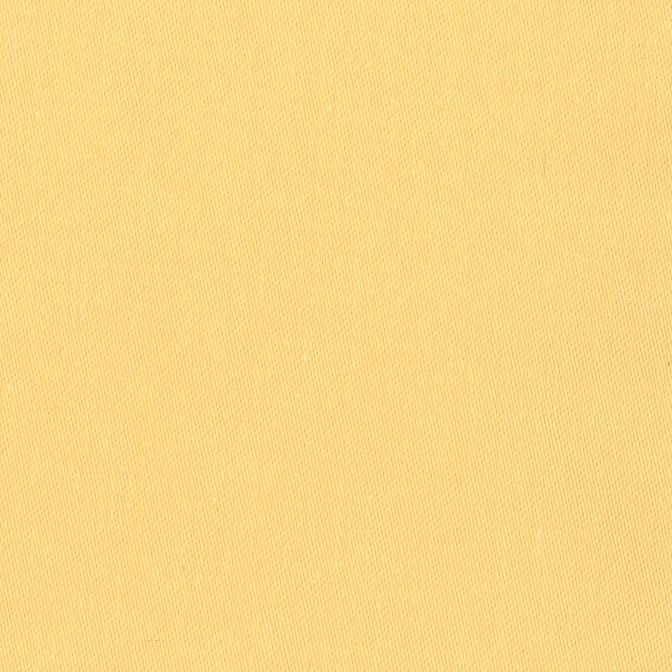 Lizzy - 07 maize