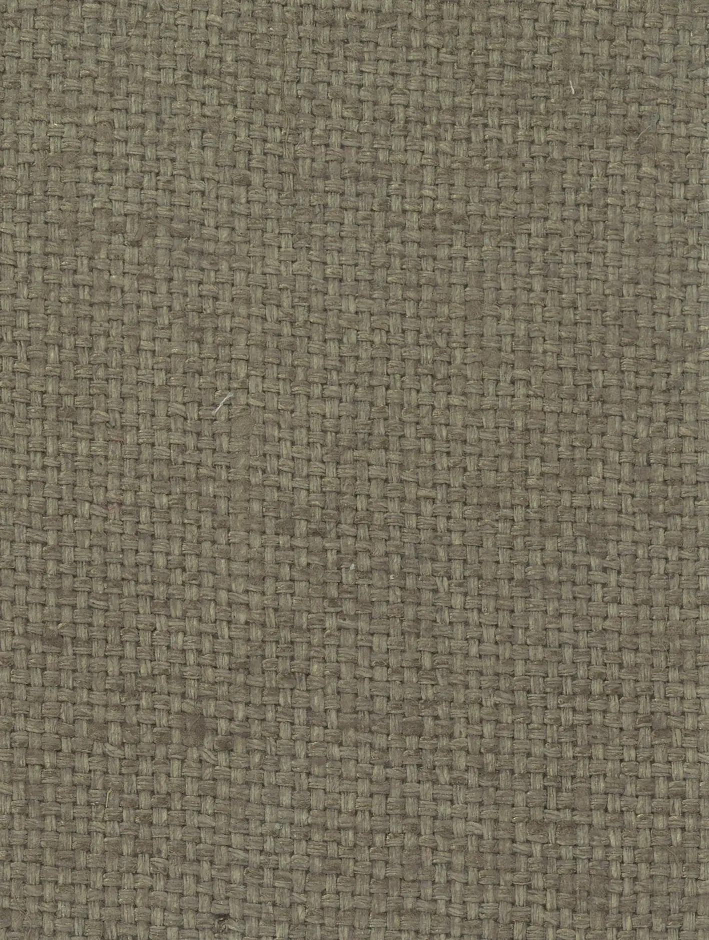 nya nordiska - Shiva - 01 oak