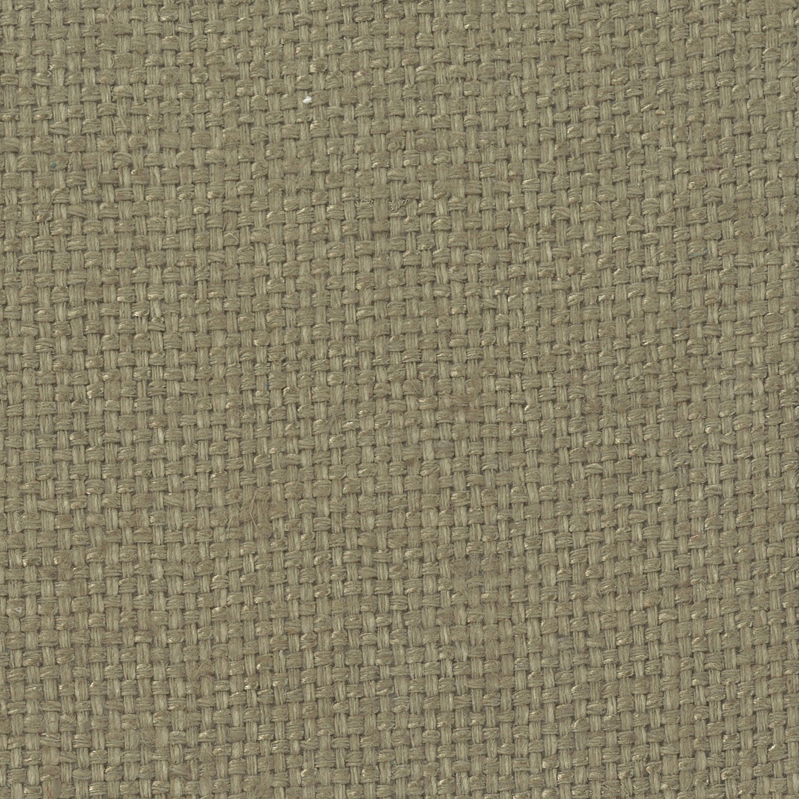 Shiva - 02 flax