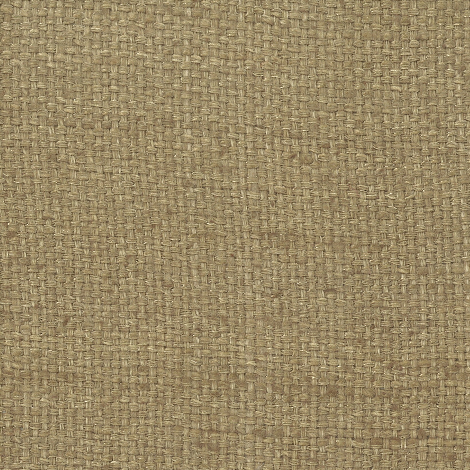 Shiva - 03 caramel