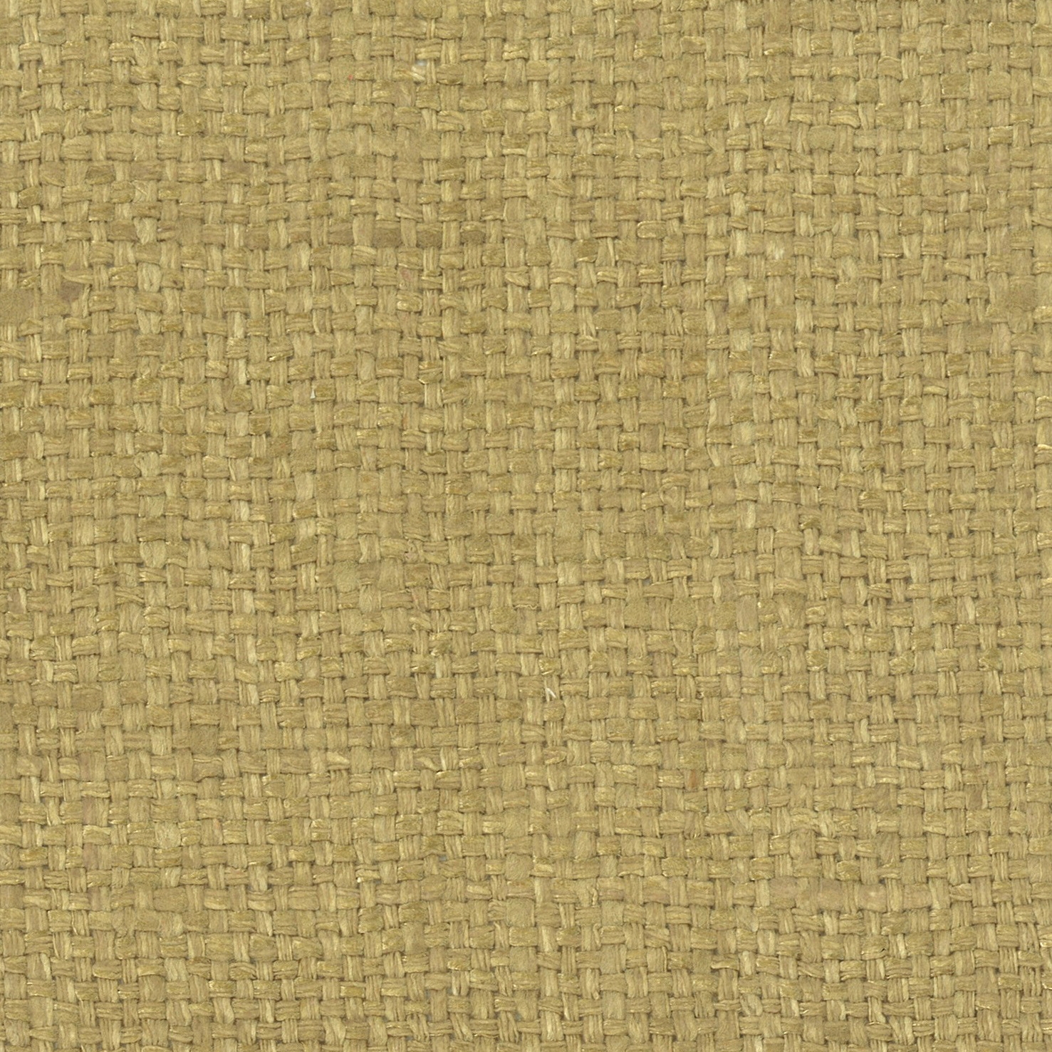 Shiva - 09 mustard