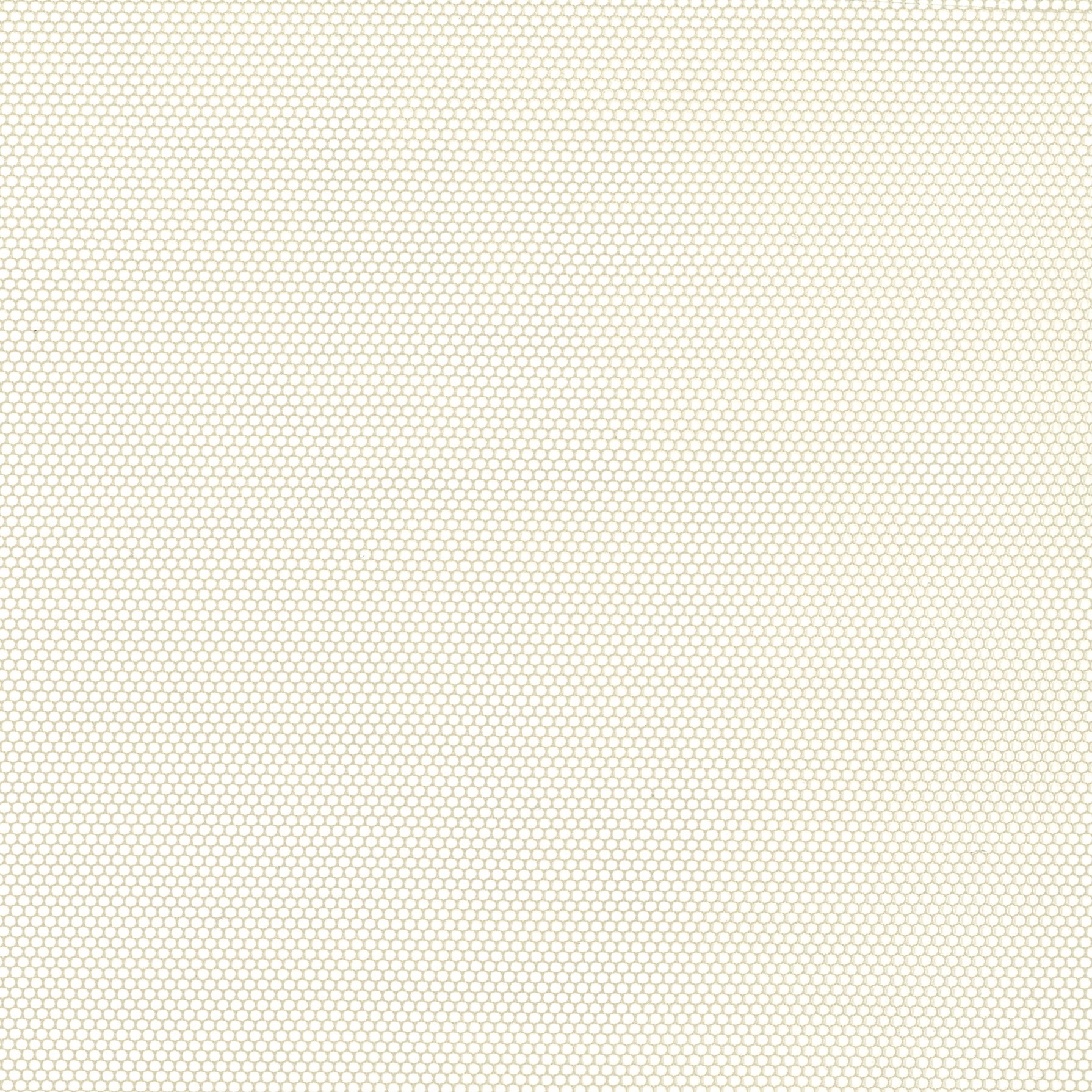 Tuell FR - 44 hazel