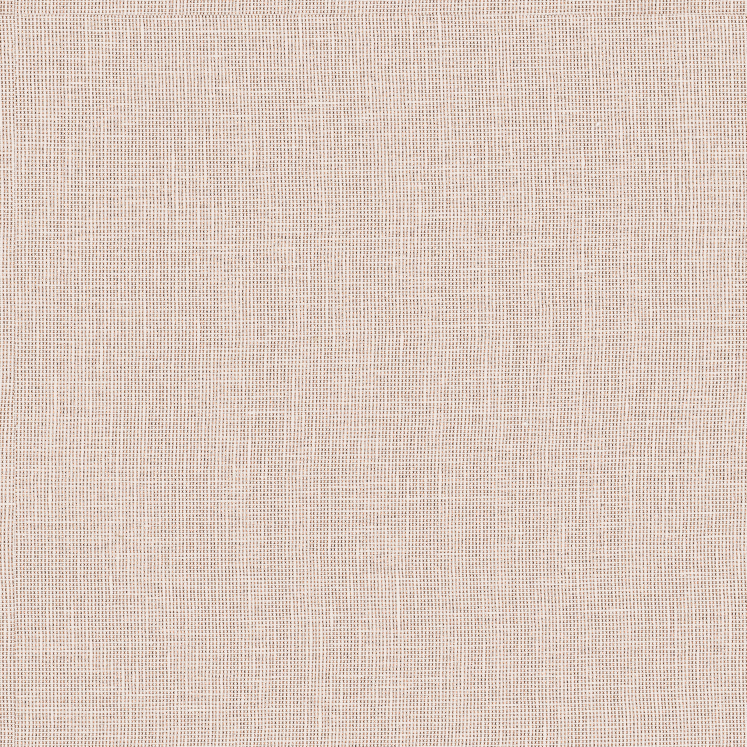 Golda - 02 rose