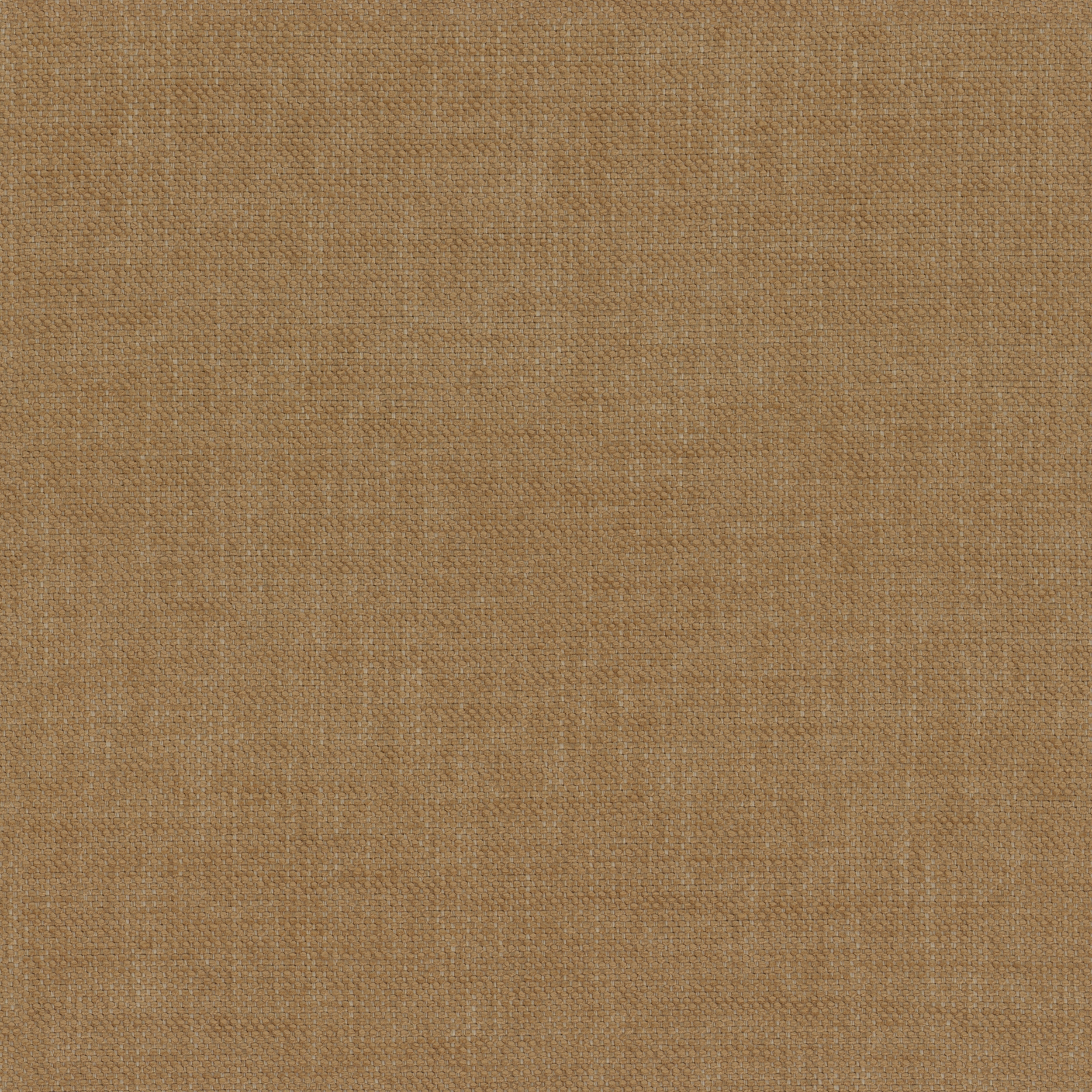 Mattia FR - 05 hazel