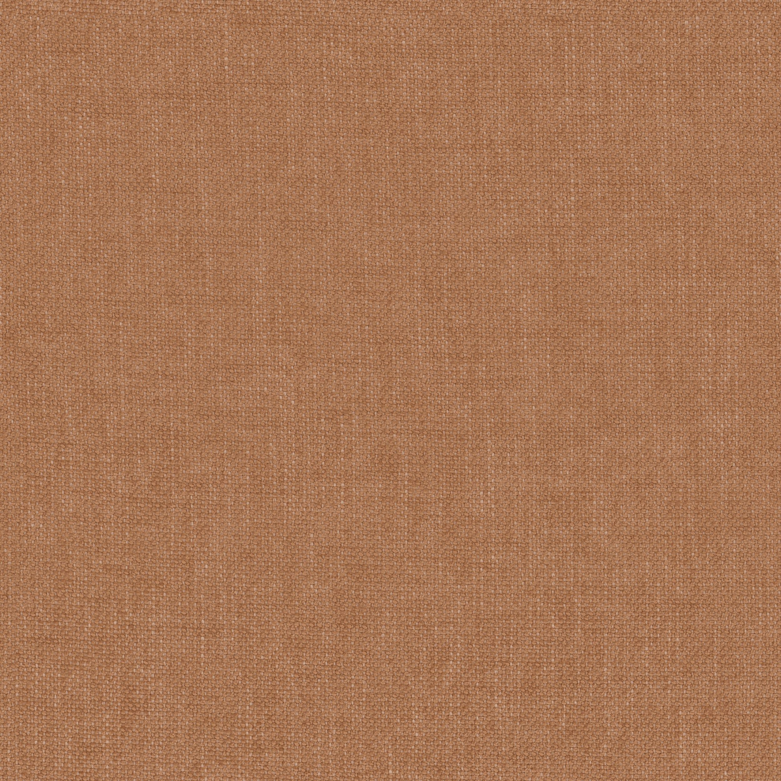 Mattia FR - 07 apricot