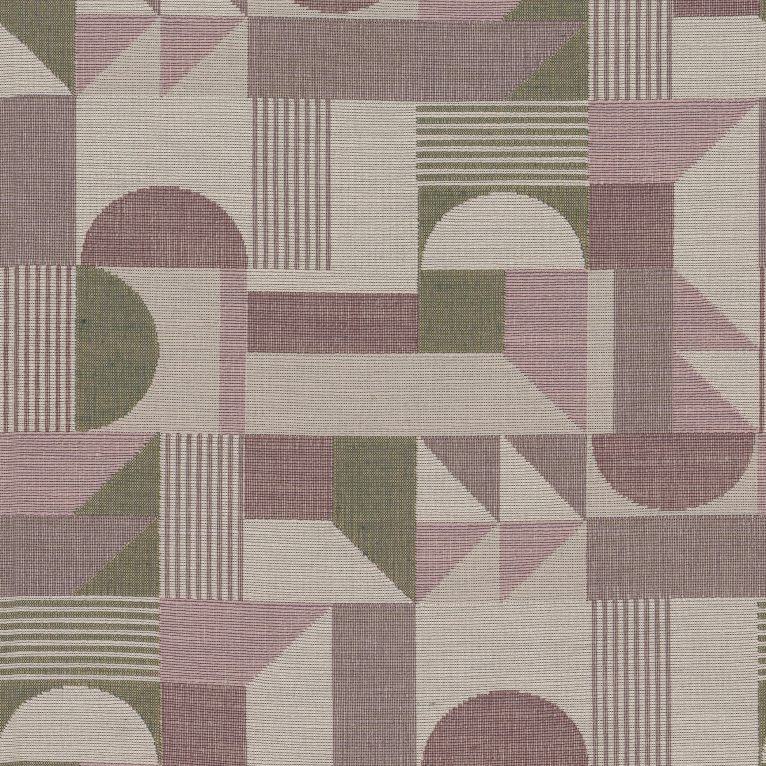 Olmo - 03 orchid