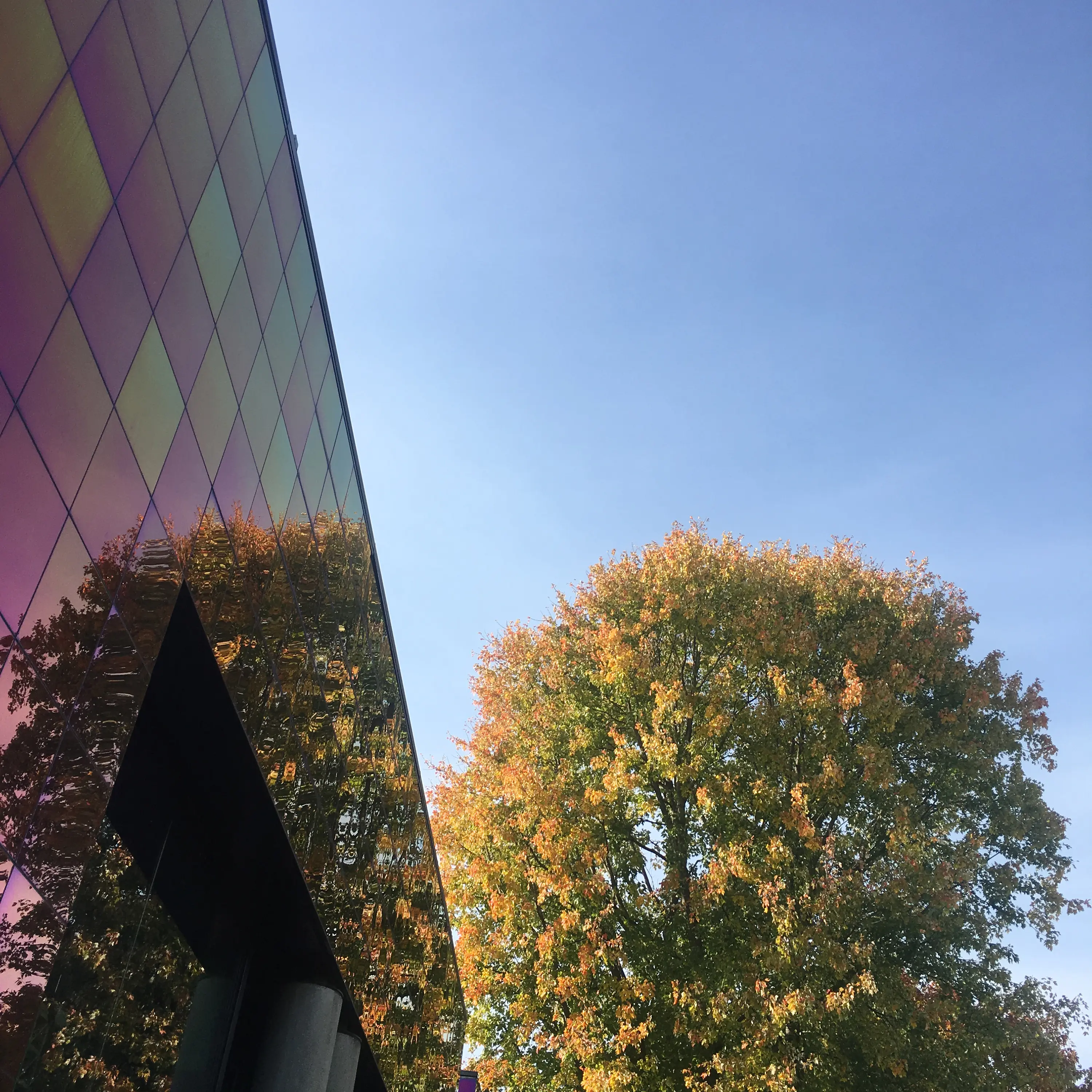 gallery-slide-1