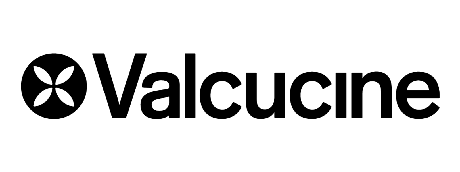 Logo for manufacturer Valcucine