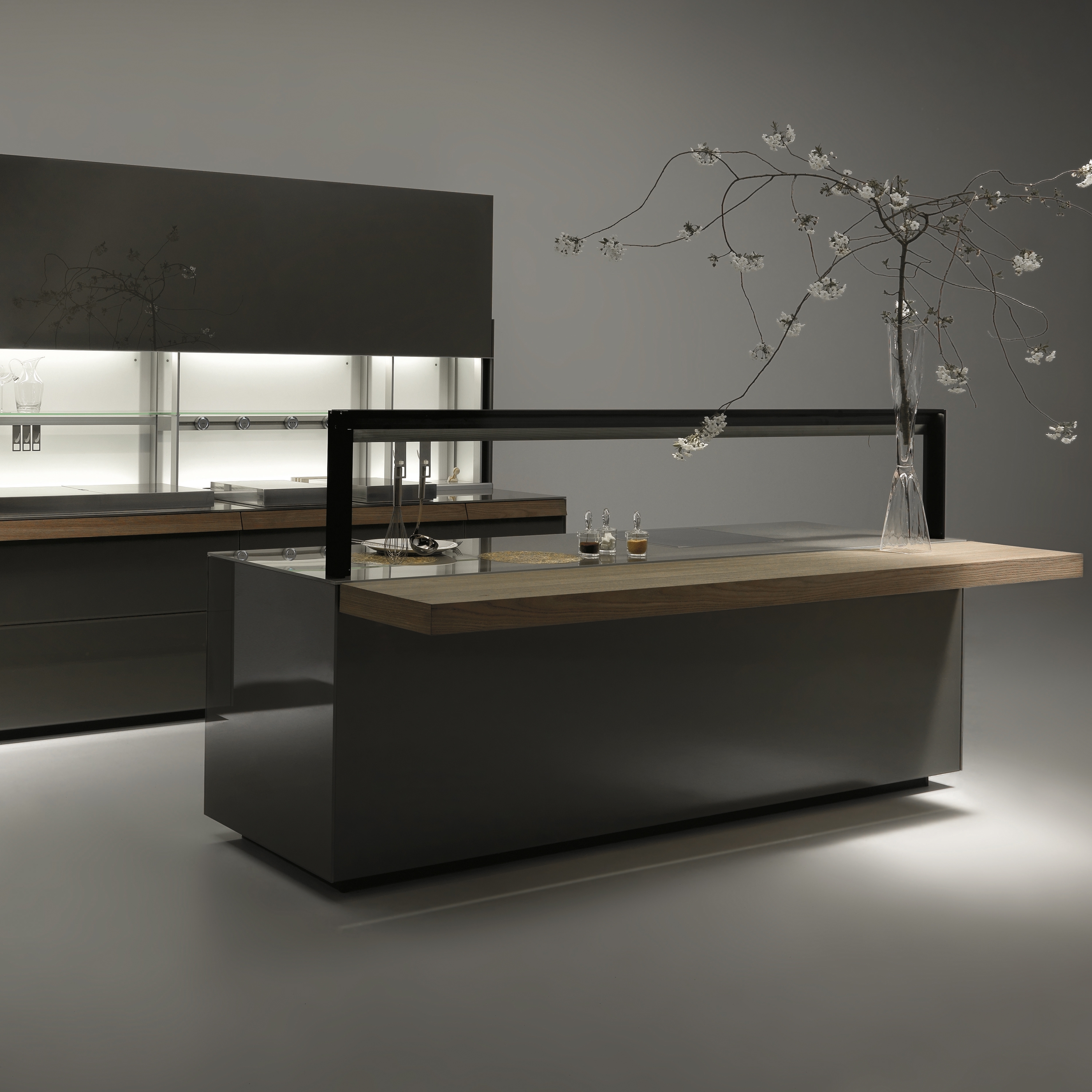 Display product Genius Loci from manufacturer Valcucine