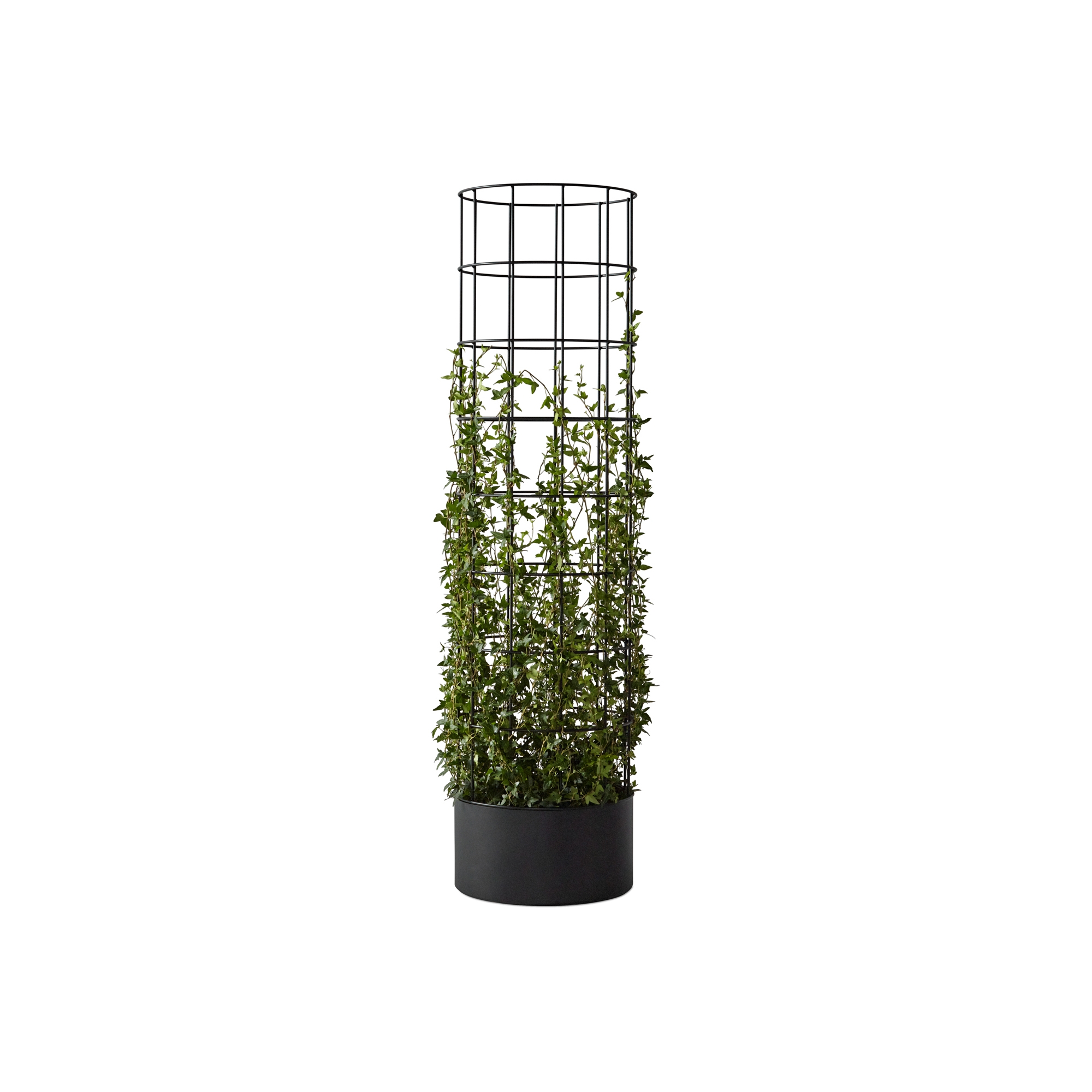 Display product dB Pillar Flower Trellis from manufacturer Abstracta