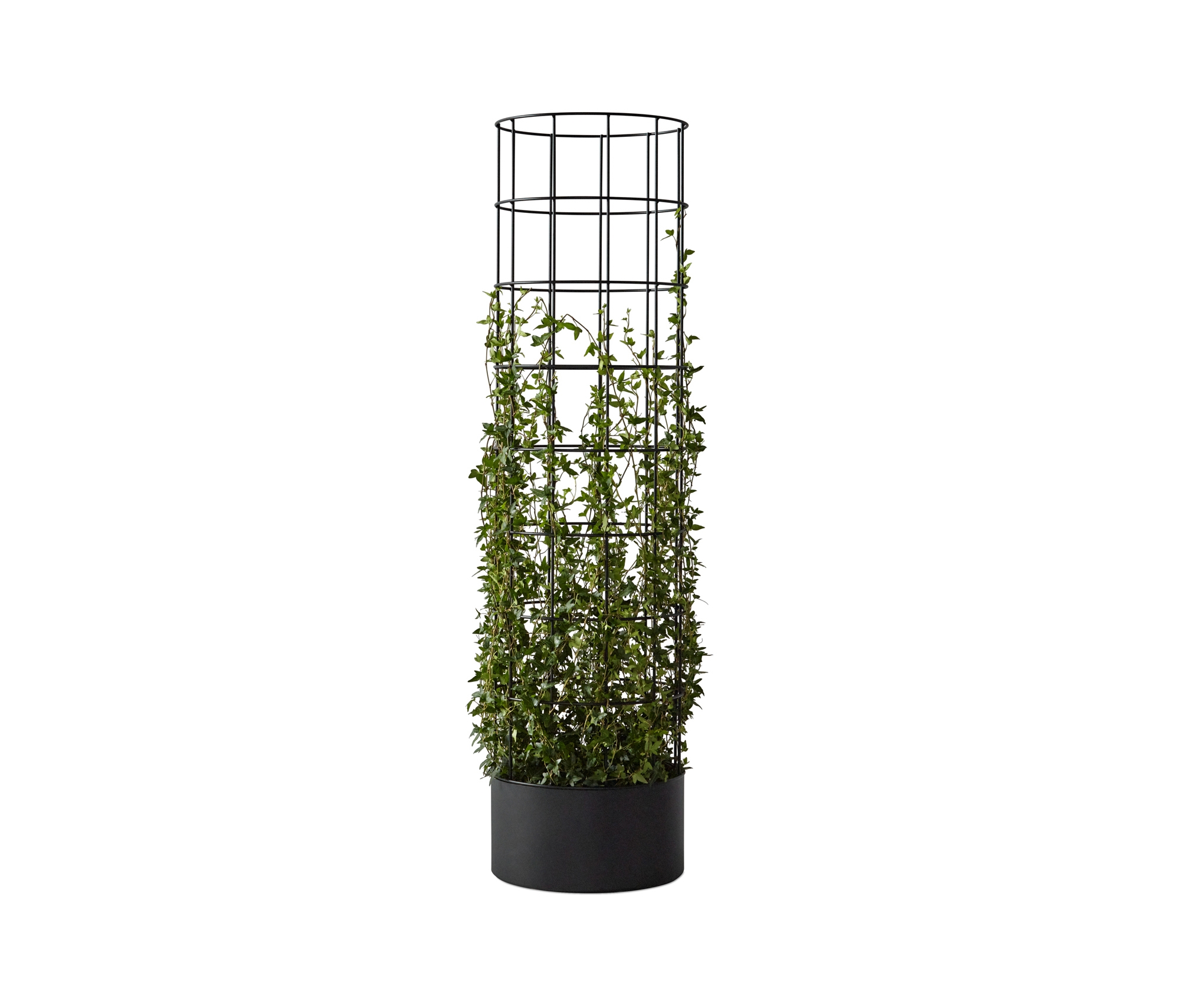 Browse products for category Plant pots
