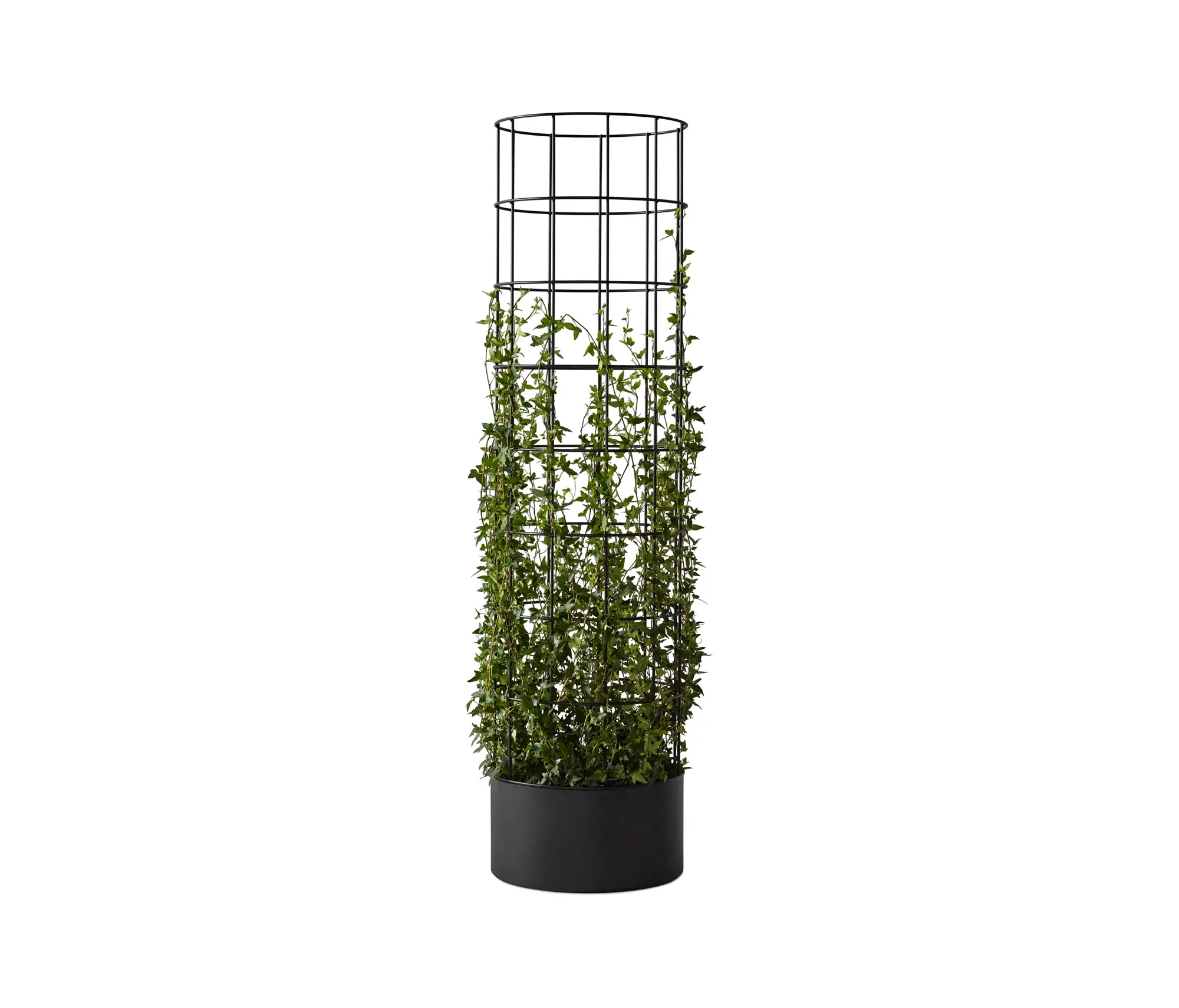 Abstracta - dB Pillar Flower Trellis