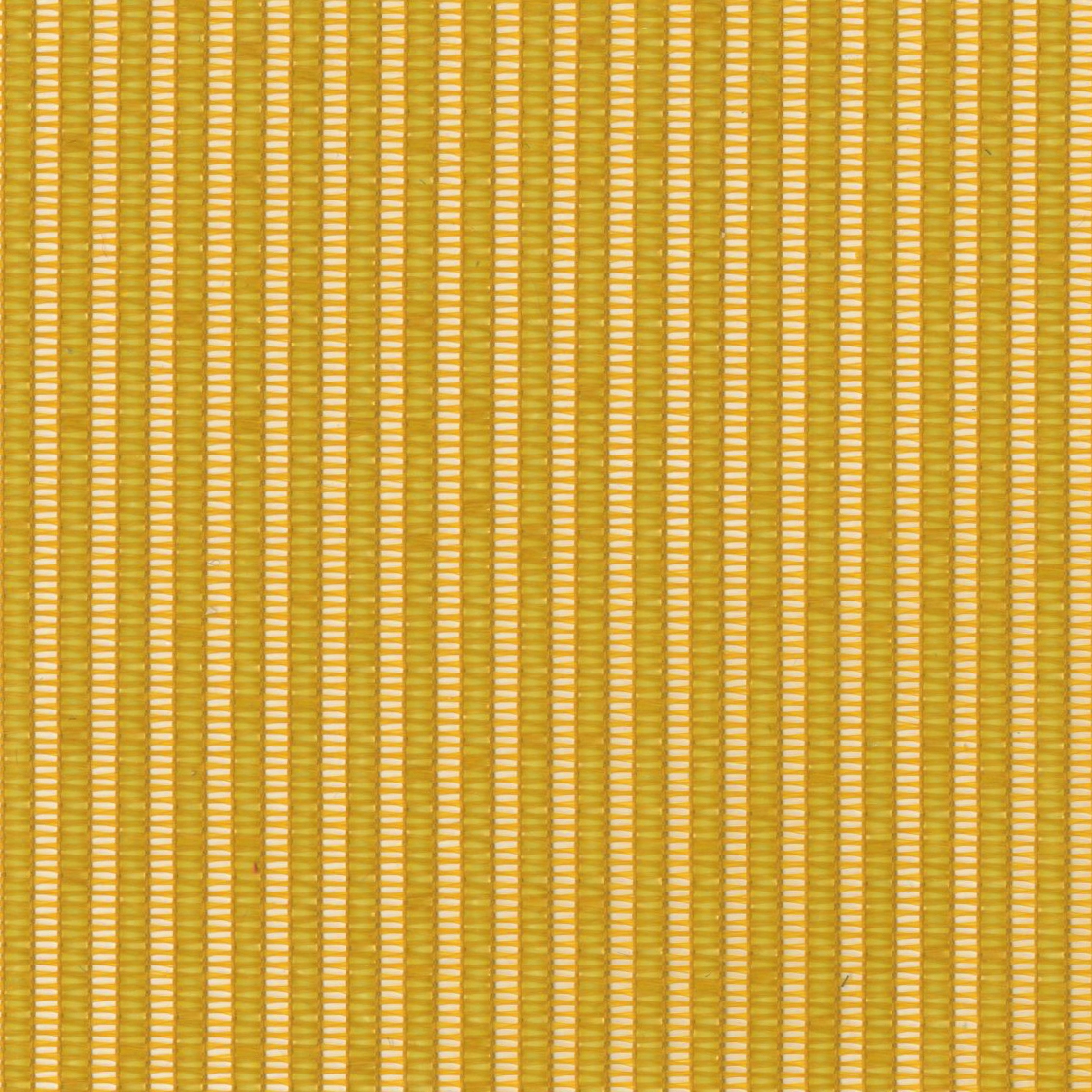 Vivid 6769