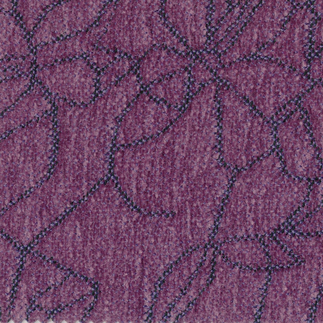Bloom 3944