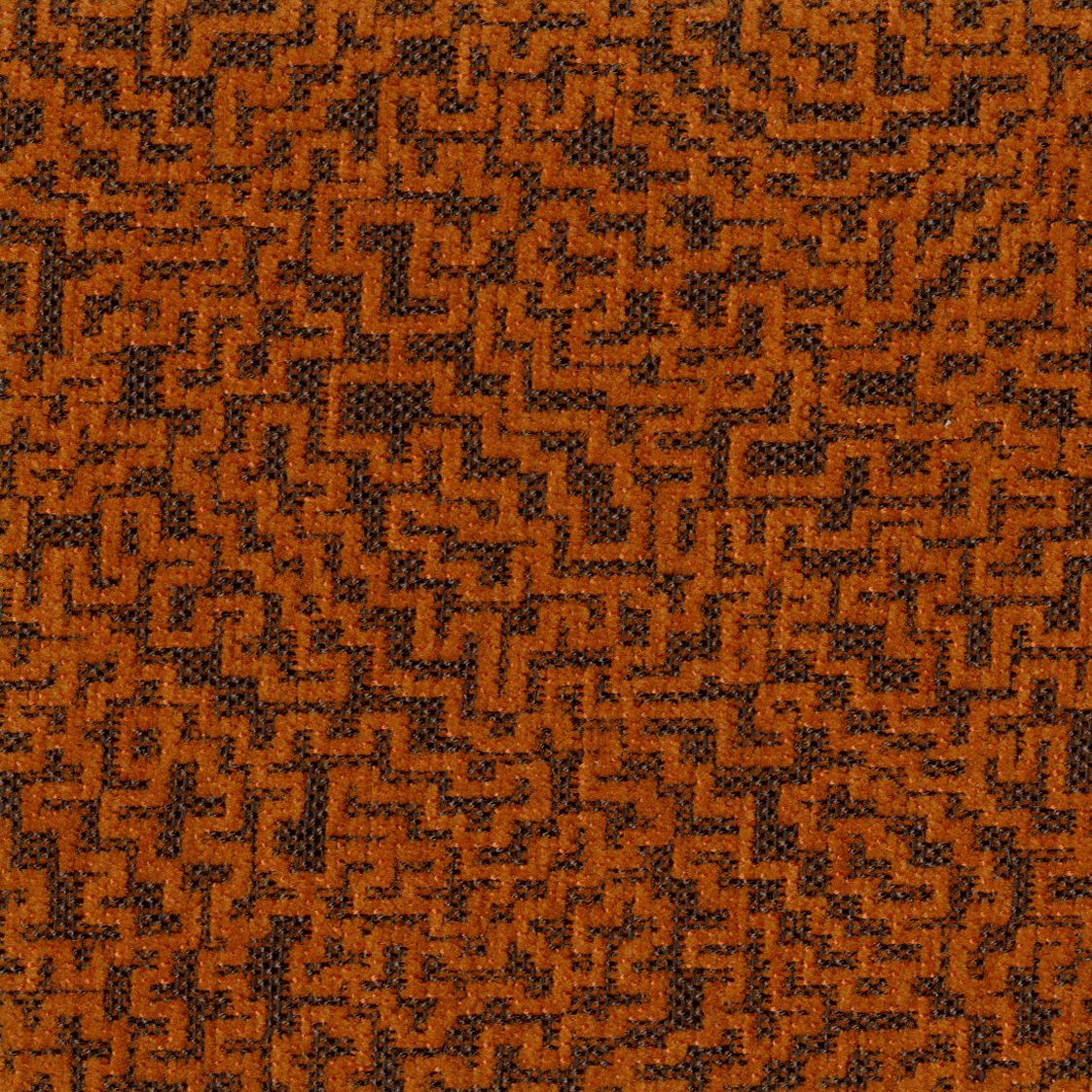 Corall 3127
