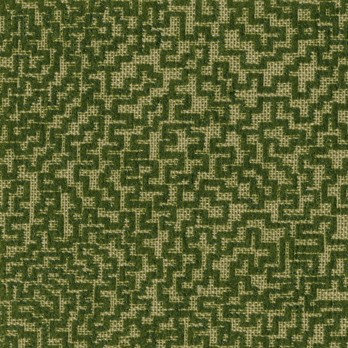 Corall 6354