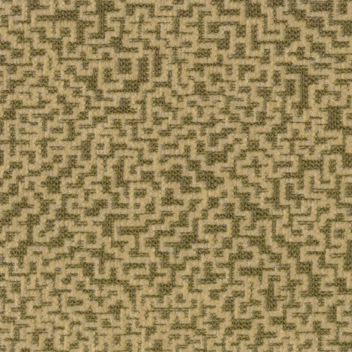 Corall 6612