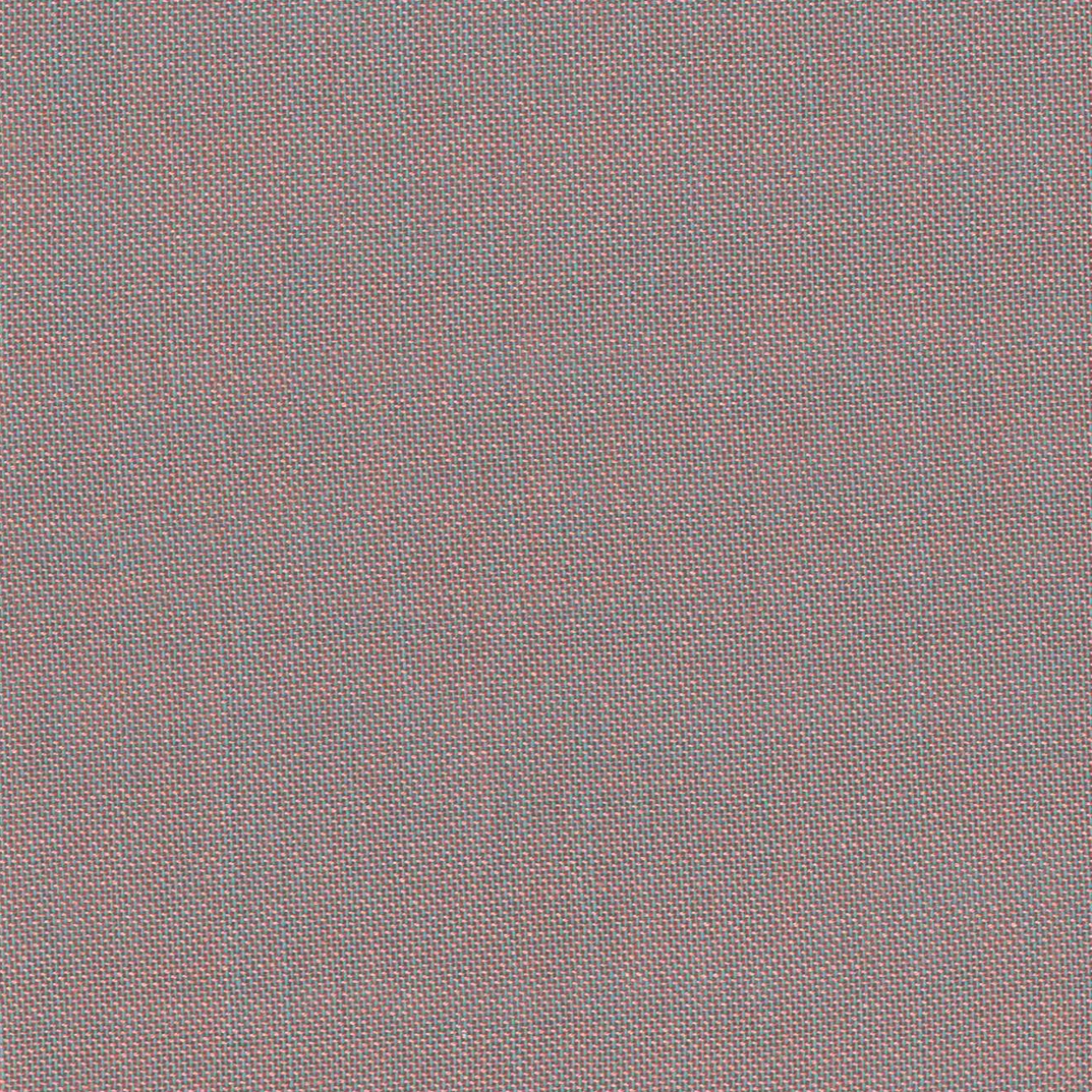 Mint 3441