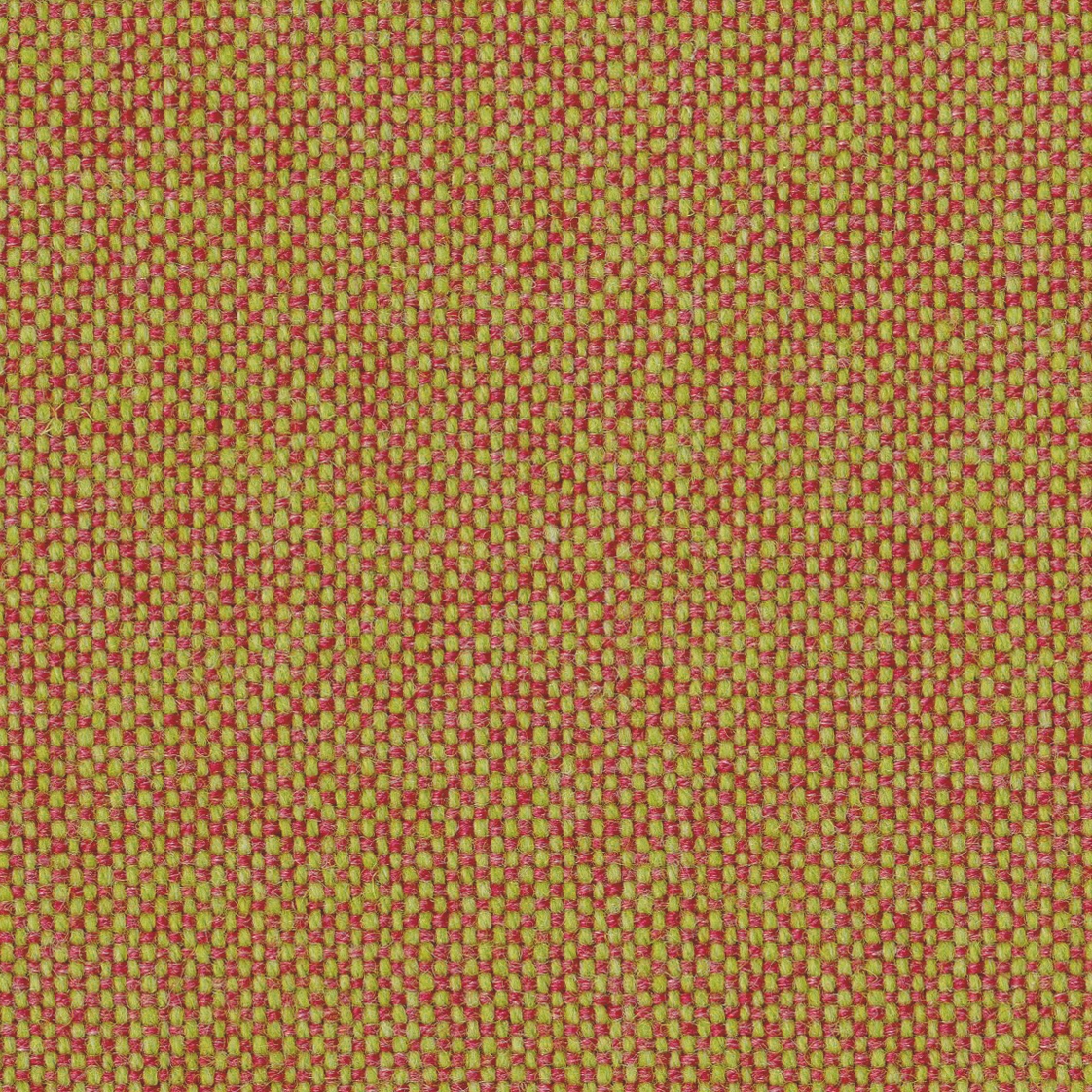 Step 186
