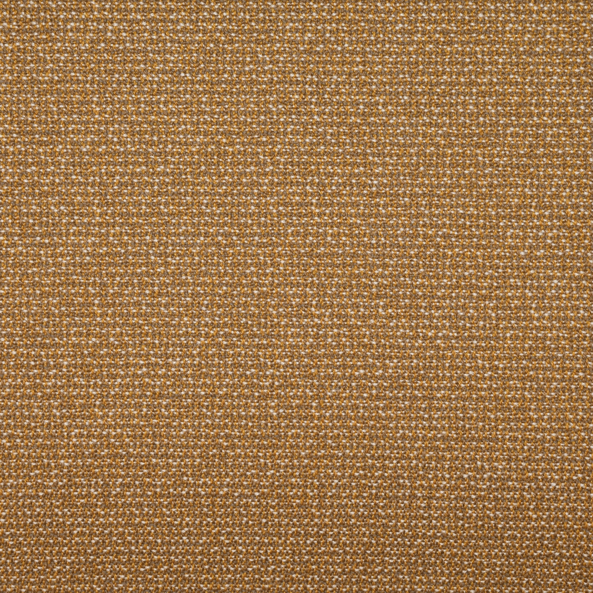 Tableau 6843