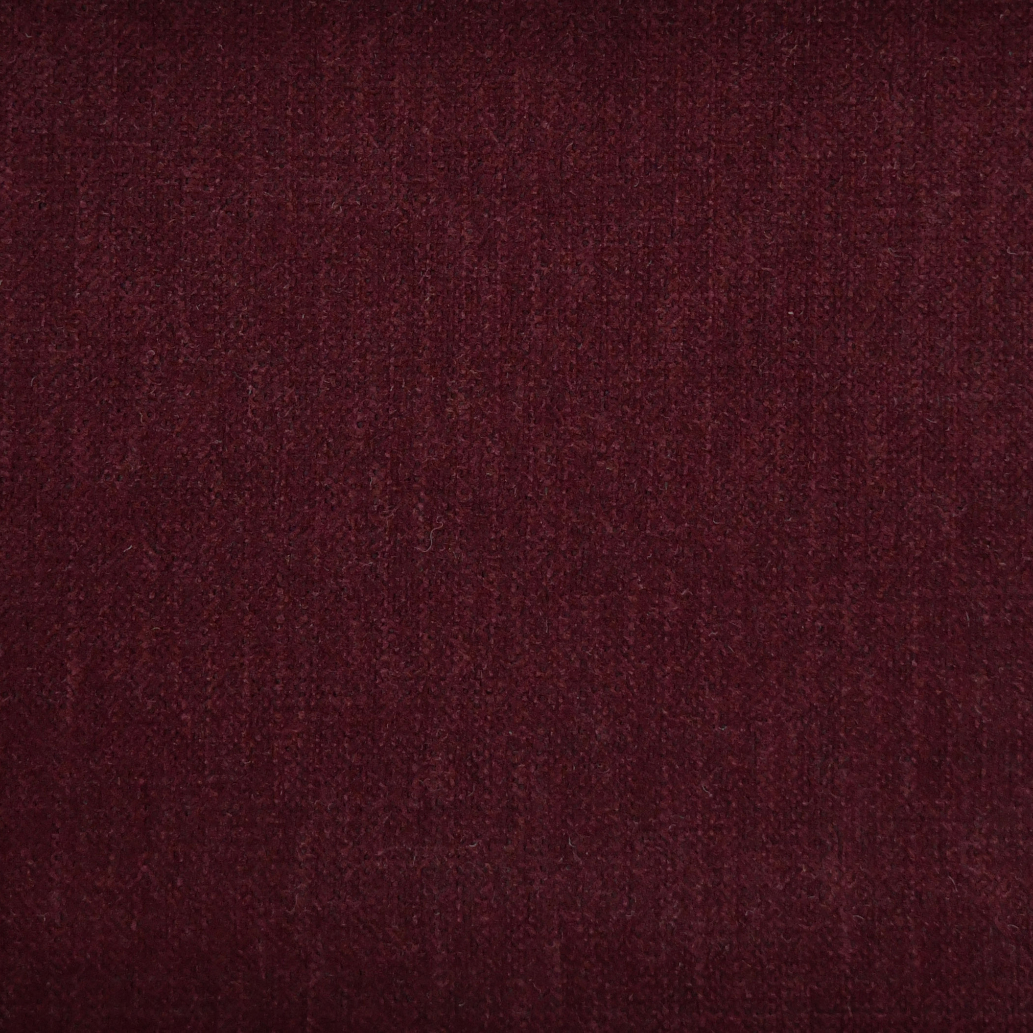 Poppy 3372