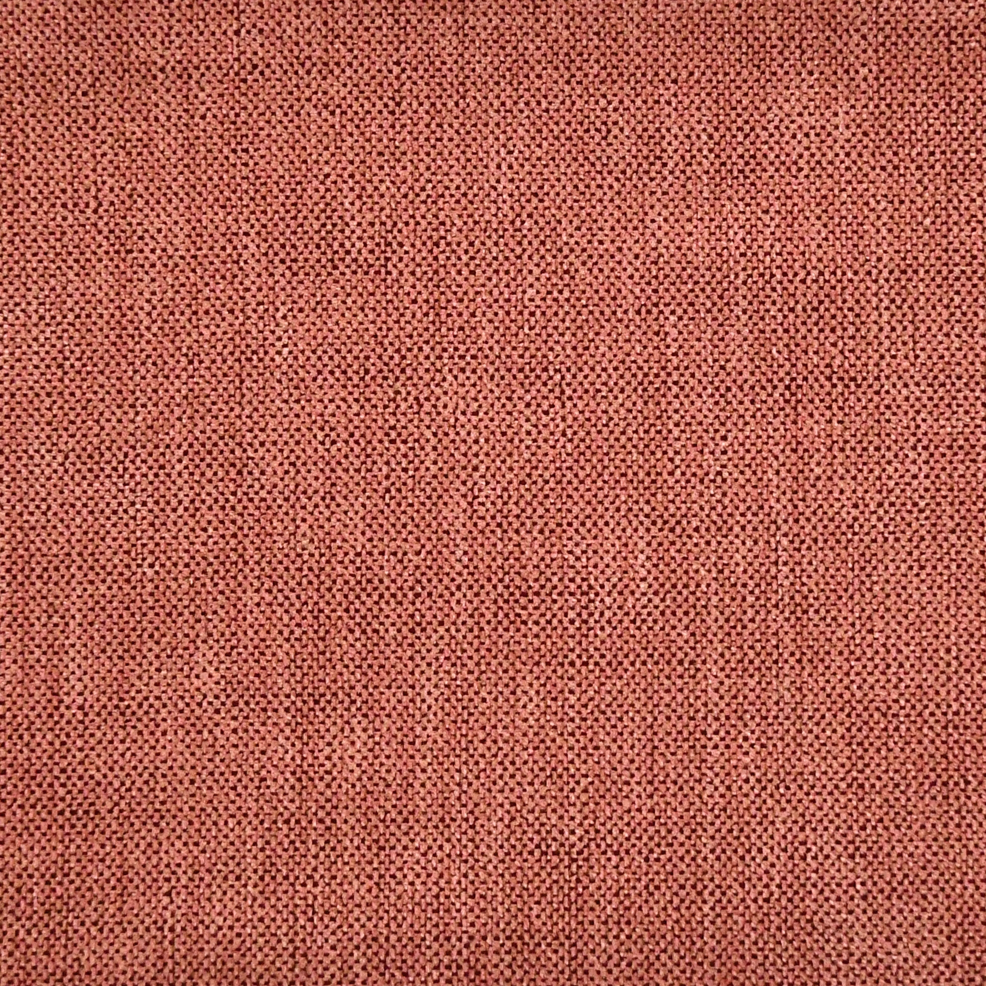 Poppy 3443