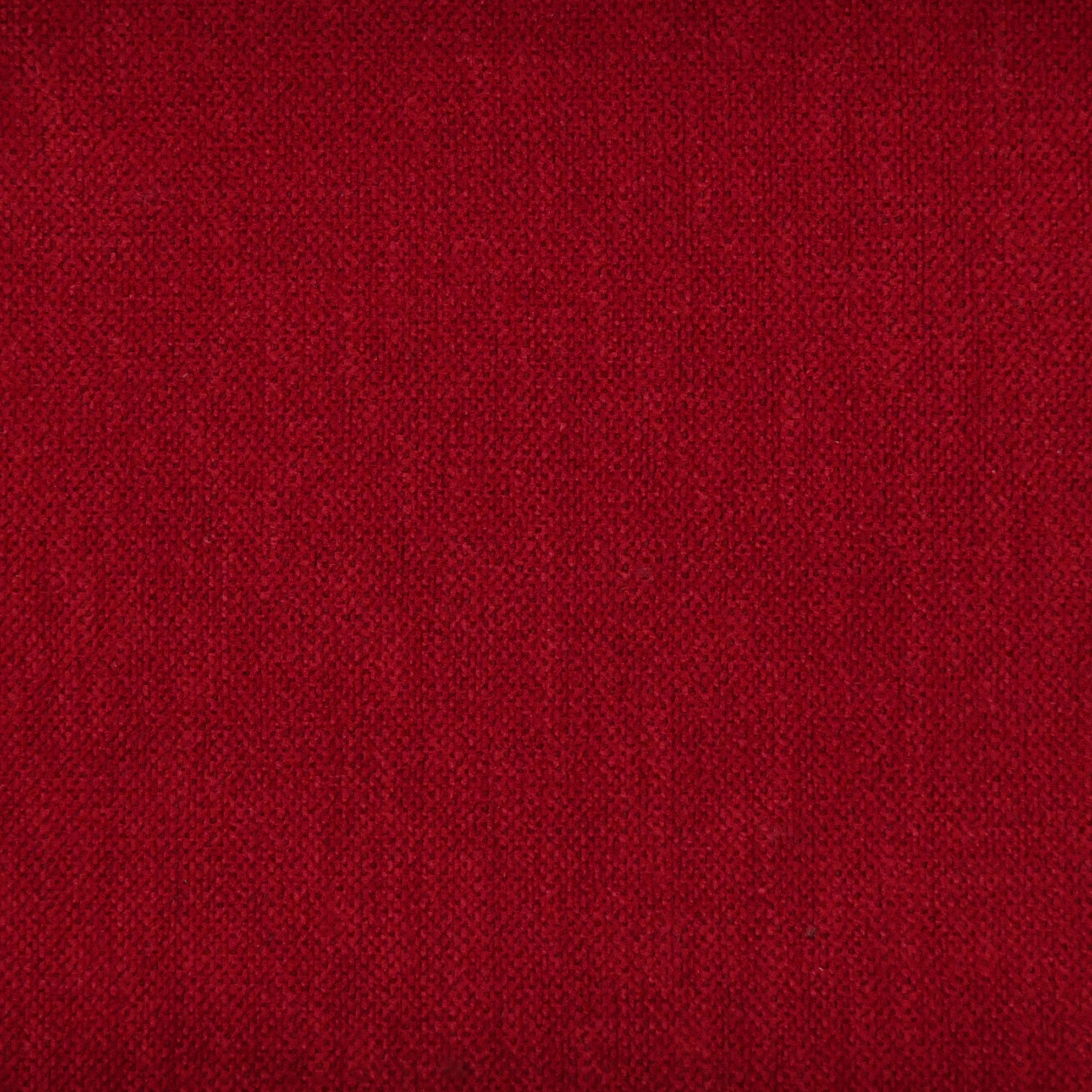 Poppy 3554