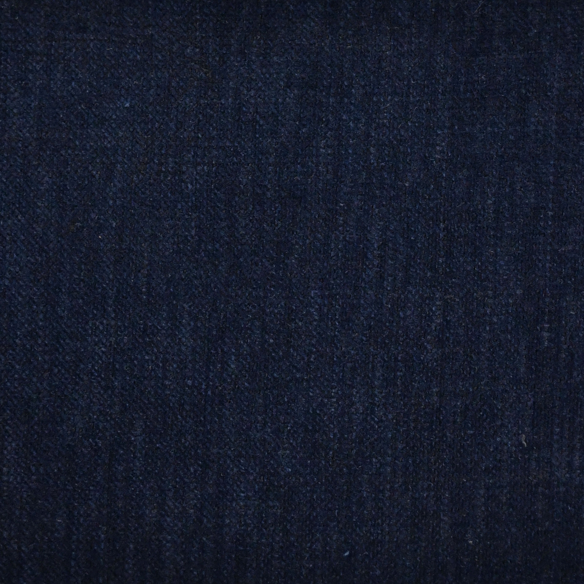 Poppy 4372