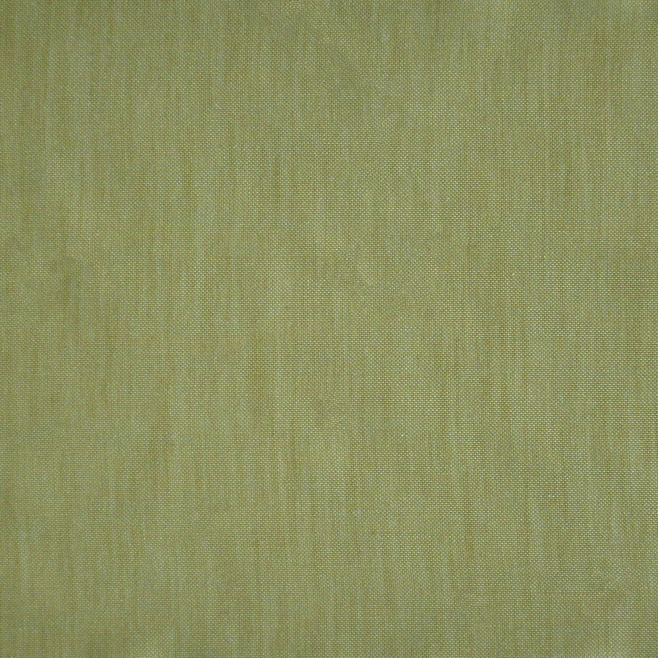 Mint 6024