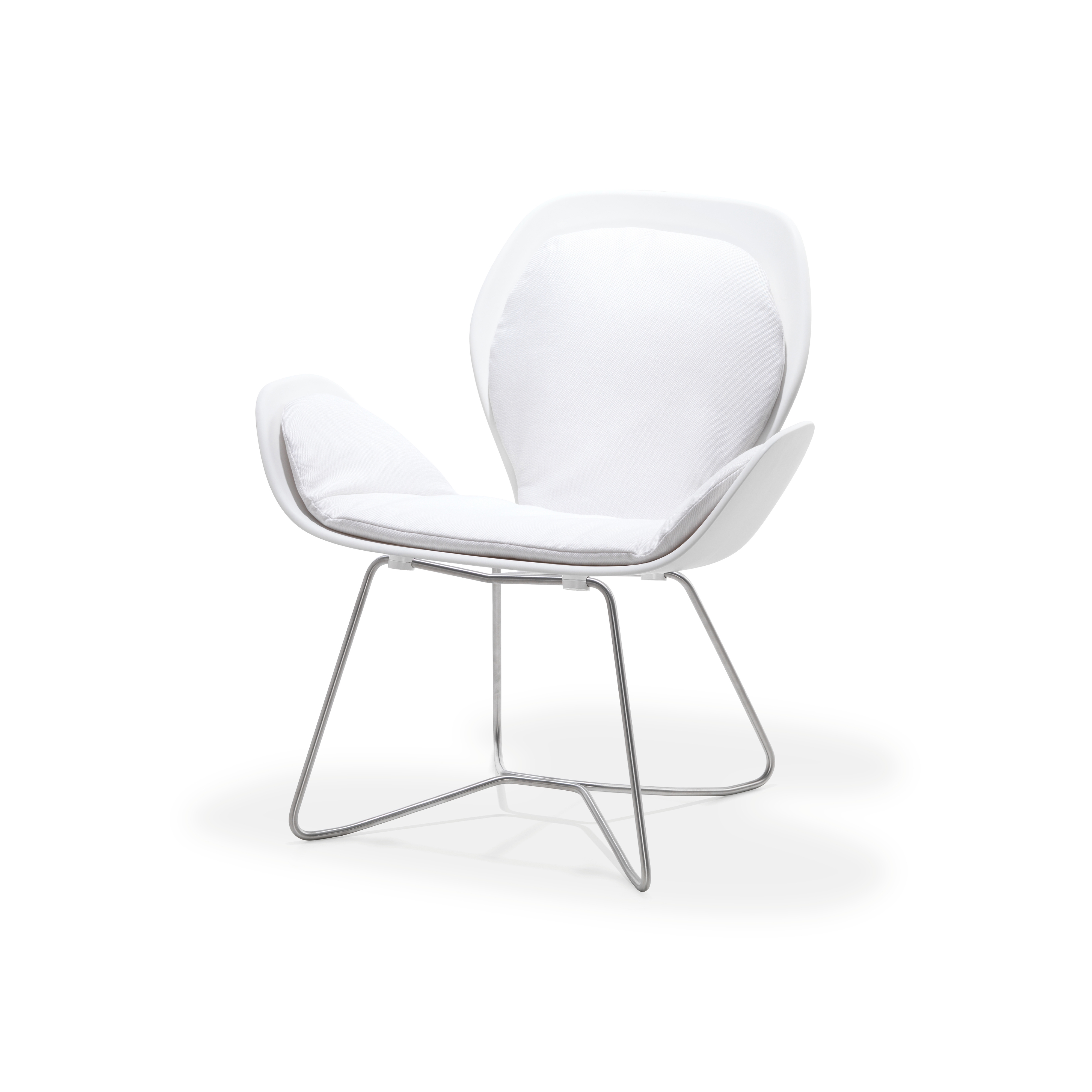 Display product Dove Collection | Lounge Chair from manufacturer Viteo