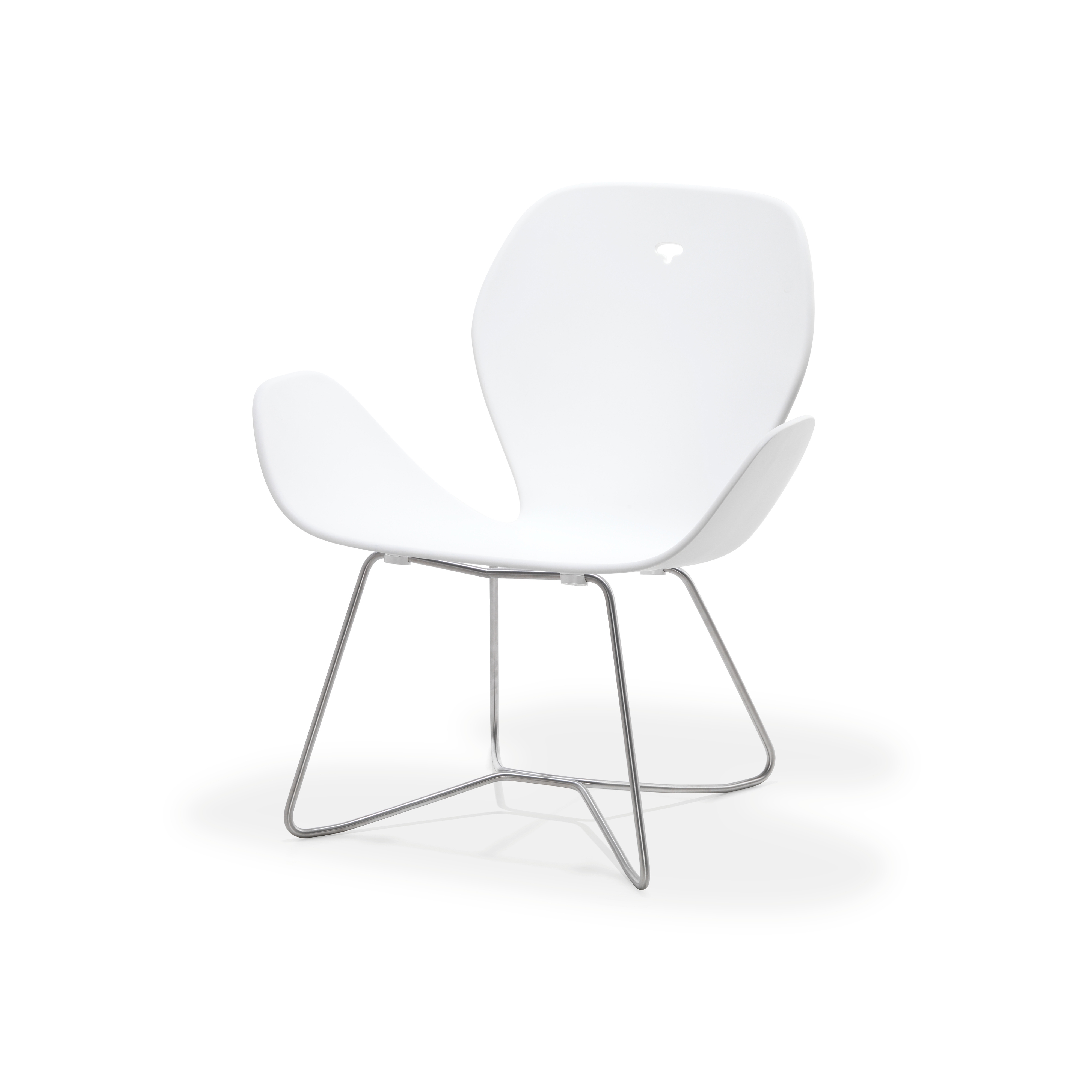 Display product Dove Collection | Lounge Chair from manufacturer Viteo