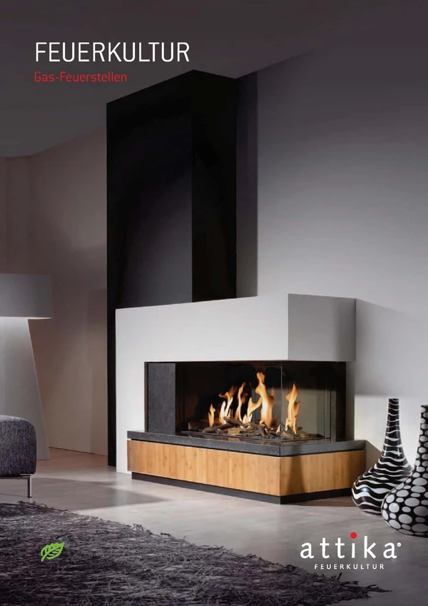 Preview image for the file Gas fireplaces