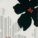 Segniluce 75x25