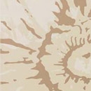 Glamour champagne fiore 75x25